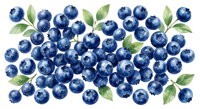 Fresh Watercolor Blueberries with Green Leaves Composition
