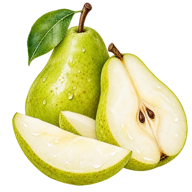 Fresh Watercolor Green Pear Fruit Illustration