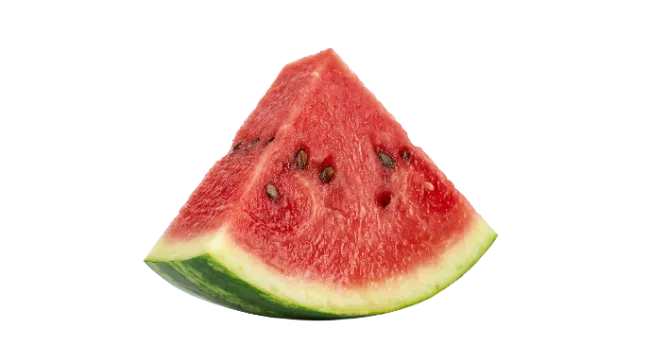 Fresh Watermelon Slice