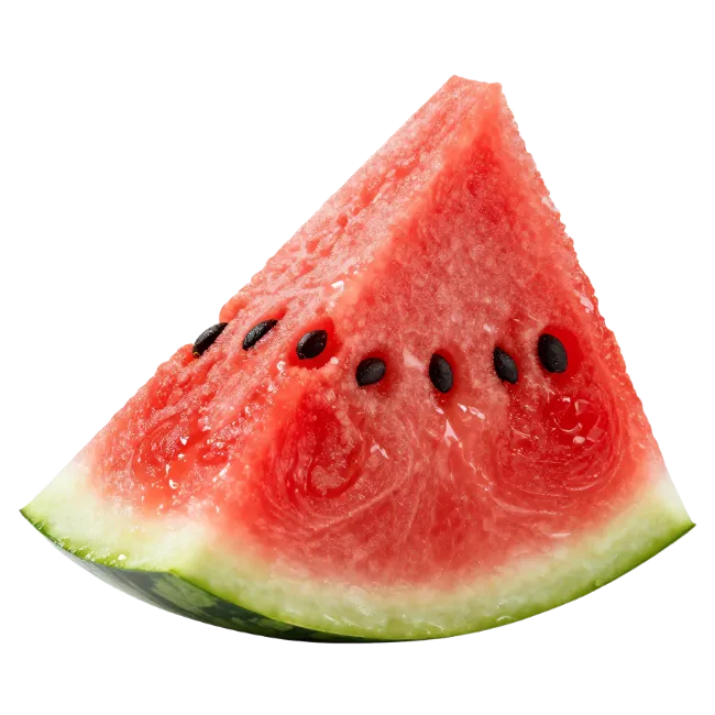 Fresh Watermelon Slice
