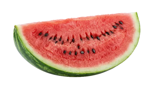 Fresh Watermelon Slice