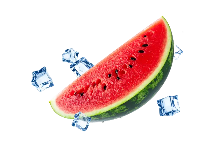 Fresh Watermelon Slice with Ice Cubes
