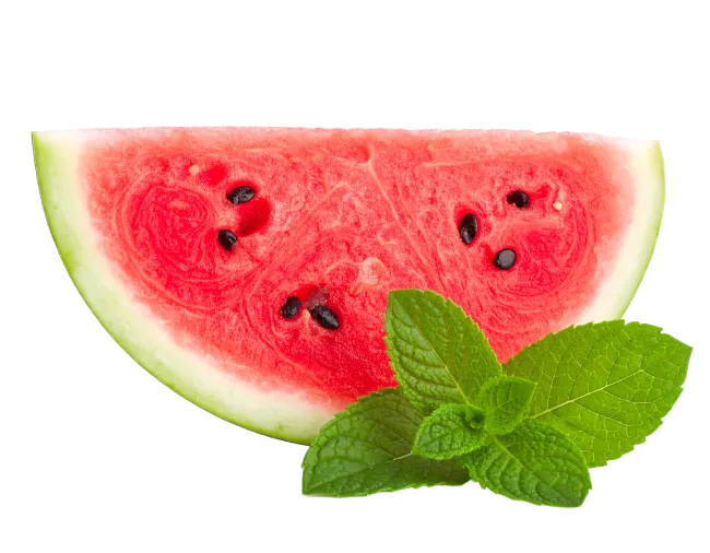 Fresh Watermelon Slice with Mint Leaves