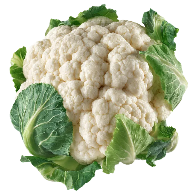 Fresh White Cauliflower Head with Green Leaves