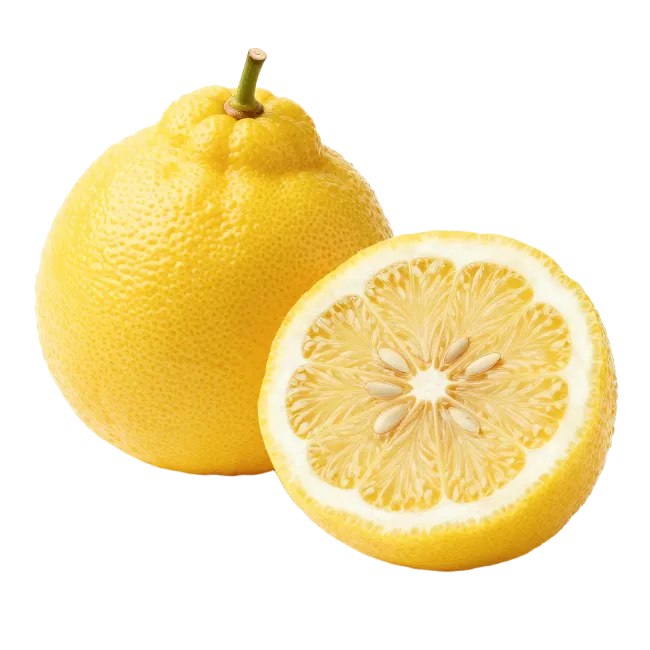 Fresh whole and halved Japanese yuzu citrus fruit