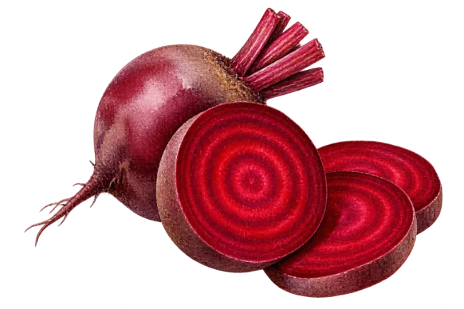 Fresh whole beetroot and sliced red beet