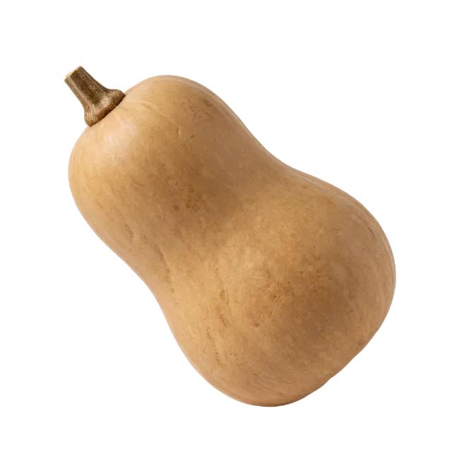 Fresh Whole Butternut Squash