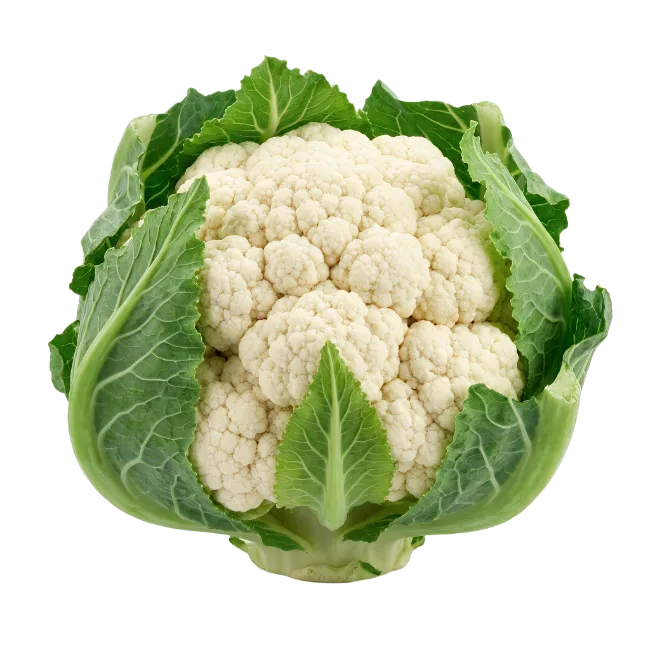 Fresh Whole Cauliflower with Green Leaves