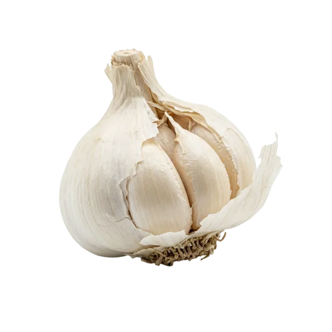 Fresh Whole Garlic Bulb with Cloves