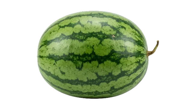Fresh Whole Green Watermelon Fruit