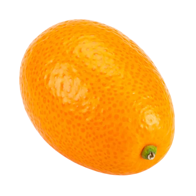 Fresh Whole Kumquat Fruit