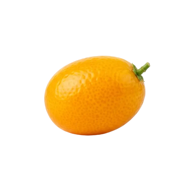 Fresh Whole Kumquat Fruit with Stem