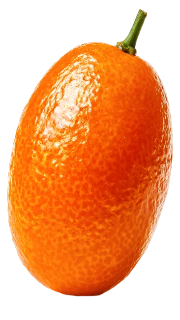 Fresh whole kumquat fruit with stem