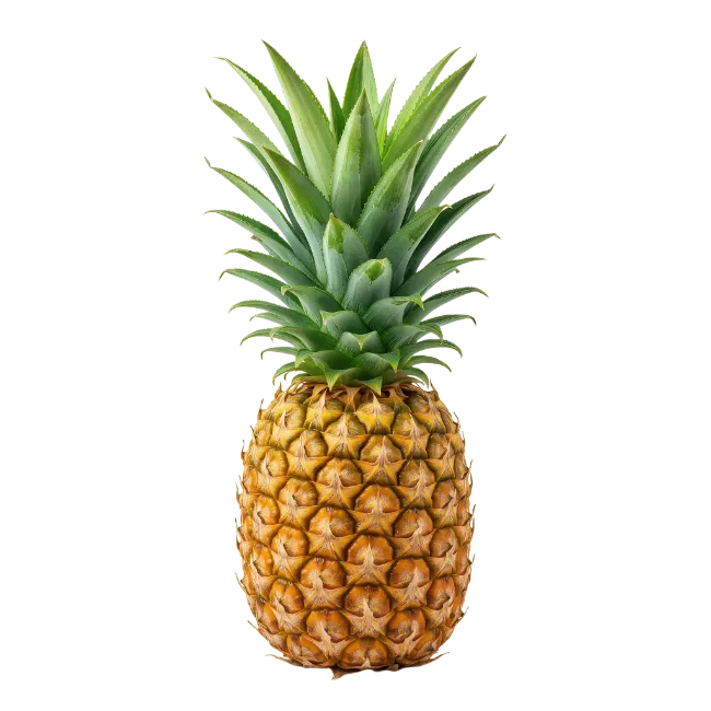 Fresh Whole Pineapple Fruit