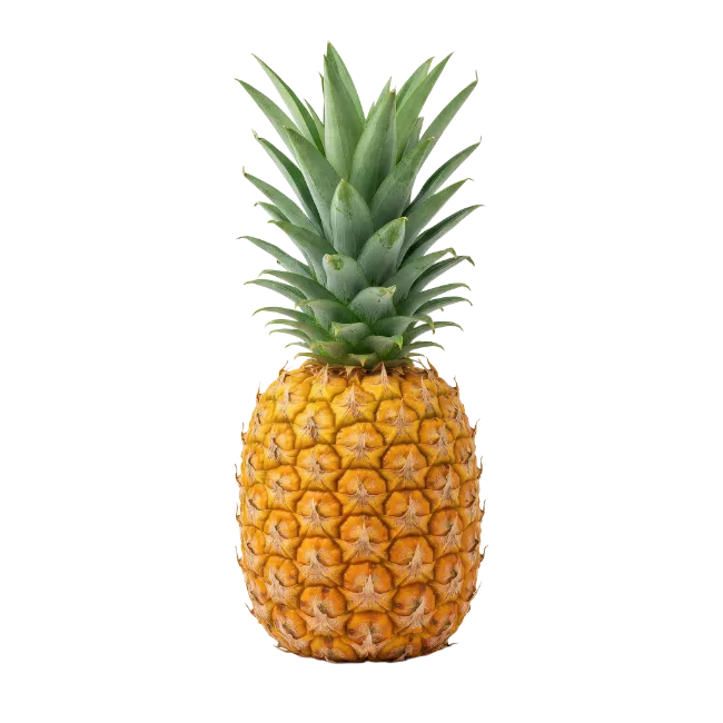 Fresh whole pineapple fruit with green leaves