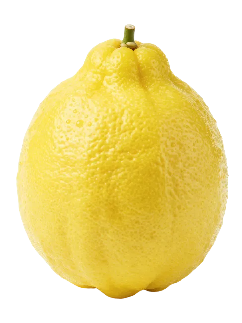 Fresh Whole Yellow Lemon Fruit Isolated