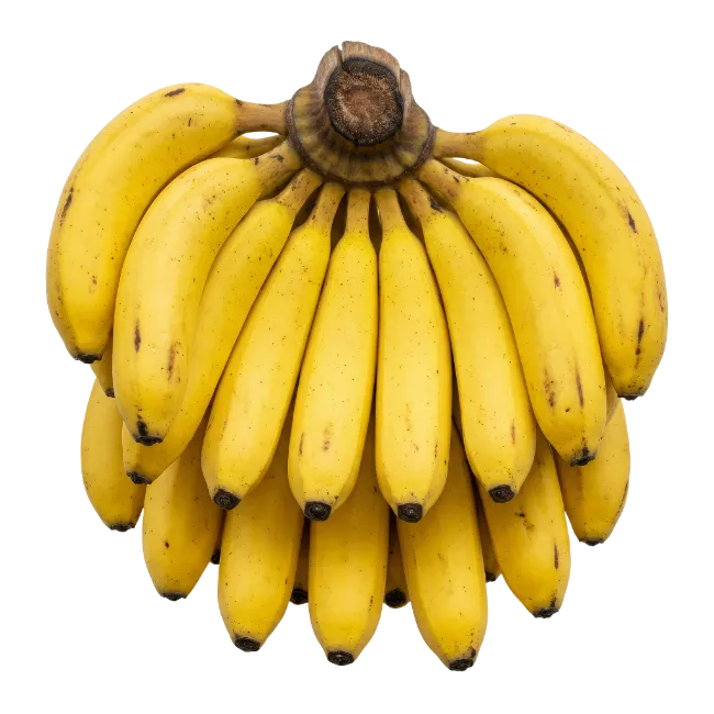 Fresh Yellow Banana Bunch
