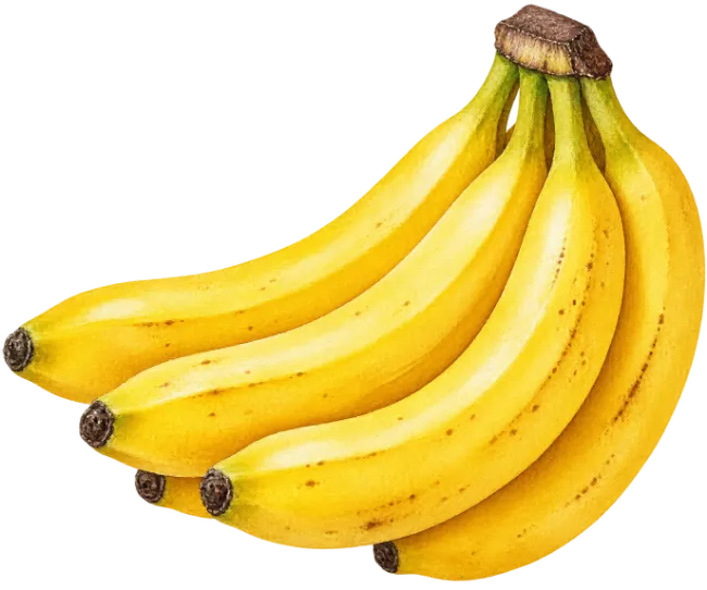 Fresh Yellow Banana Bunch