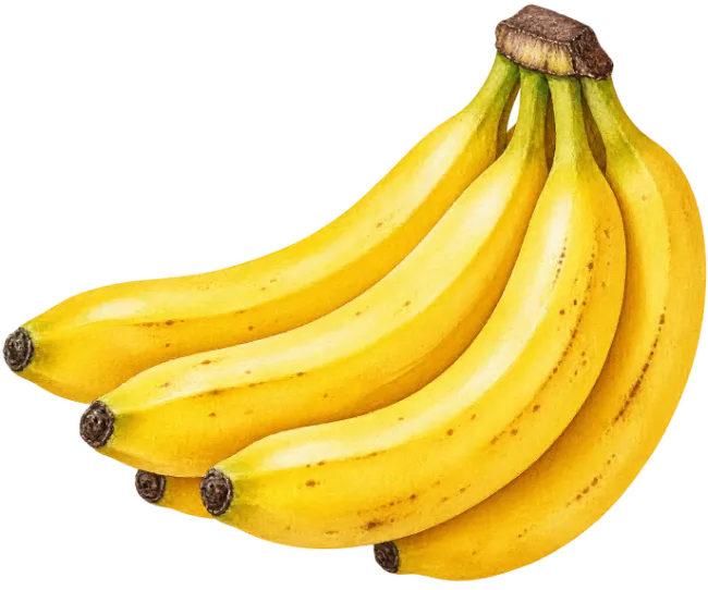 Fresh Yellow Banana Bunch Illustration