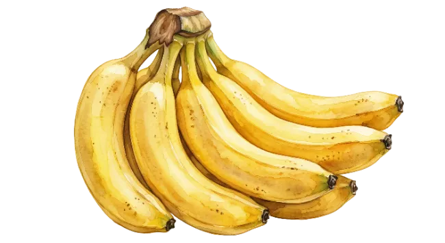 Fresh Yellow Banana Bunch Watercolor Illustration