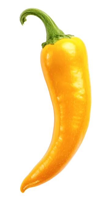 Fresh Yellow Chili Pepper