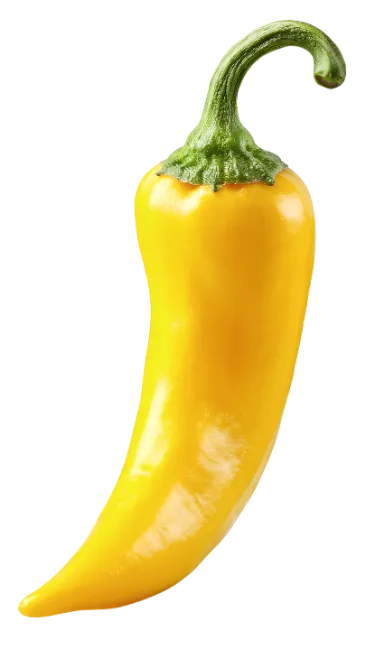Fresh yellow chili pepper isolated on black