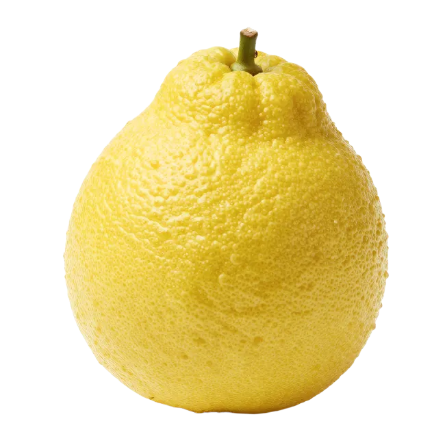 Fresh Yellow Citrus Fruit Isolated