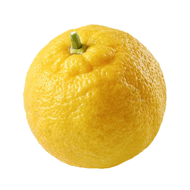 Fresh Yellow Citrus Fruit Isolated