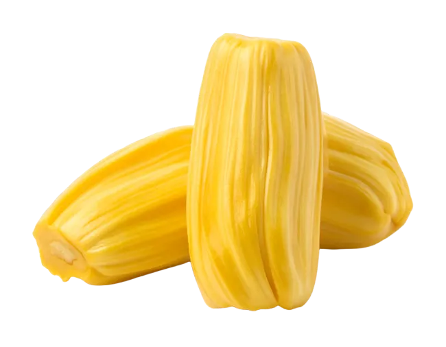 Fresh Yellow Jackfruit Pods
