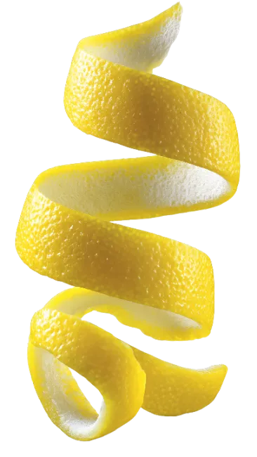 Fresh Yellow Lemon Peel Spiral