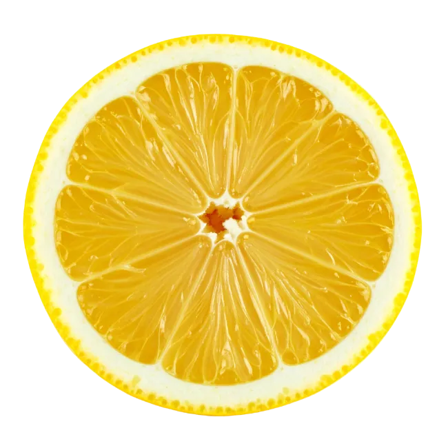 Fresh Yellow Lemon Slice