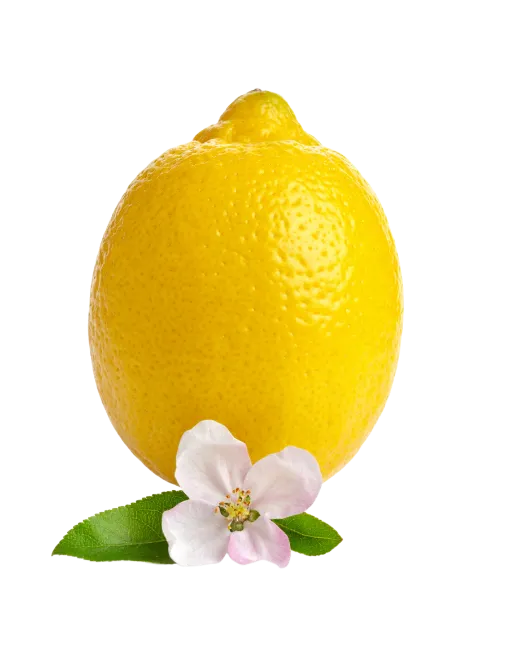 Fresh Yellow Lemon With Flower and Leaves