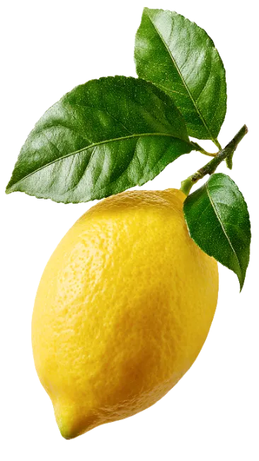 Fresh yellow lemon with green leaves
