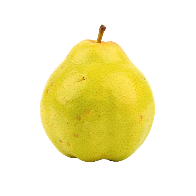 Fresh Yellow Pear Fruit Isolated