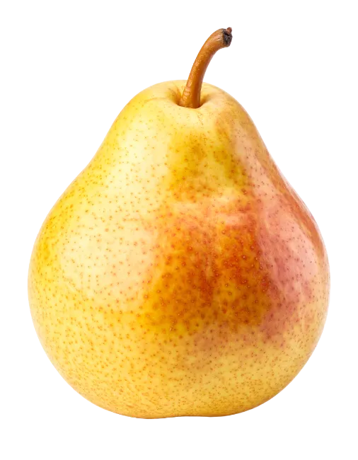 Fresh Yellow Pear Fruit Isolated