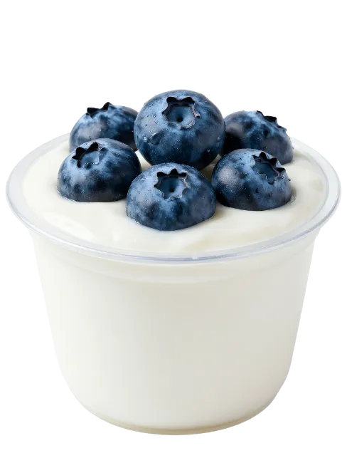 Fresh Yogurt Cup with Blueberries