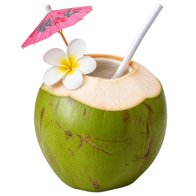 Fresh Young Coconut Cocktail with Tropical Flower and Umbrella