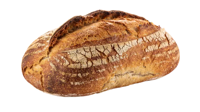 Freshly Baked Artisanal Loaf of Bread
