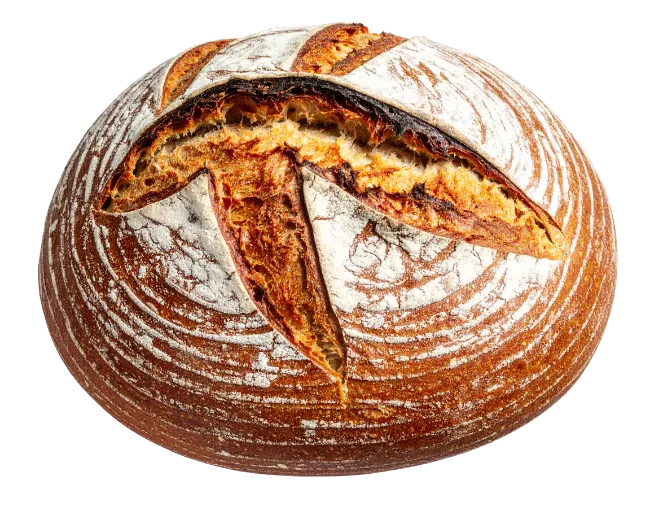 Freshly Baked Artisanal Sourdough Bread Loaf