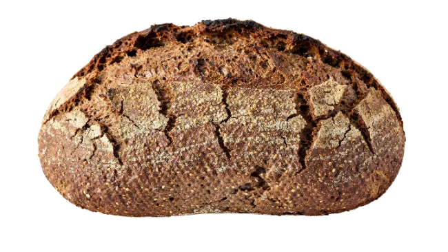 Freshly Baked Artisanal Sourdough Bread Loaf