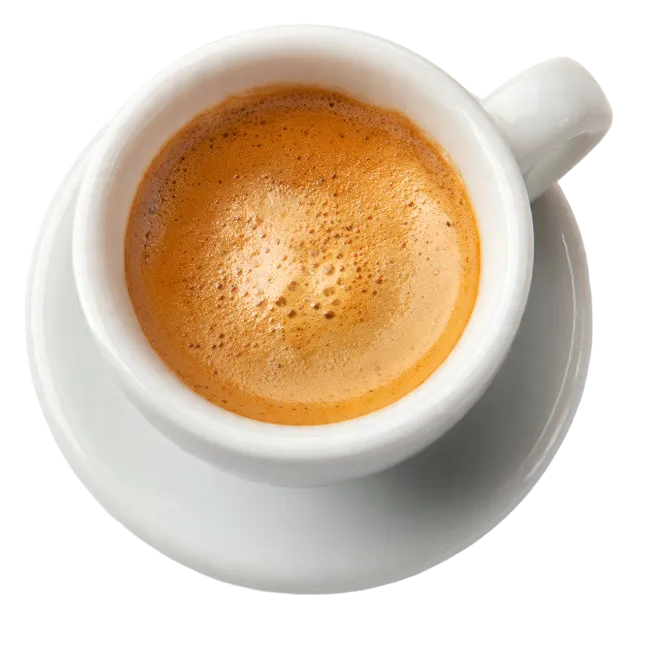 Freshly Brewed Espresso in White Cup