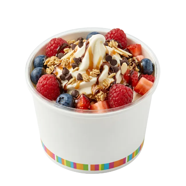 Frozen Yogurt Cup with Berries and Chocolate
