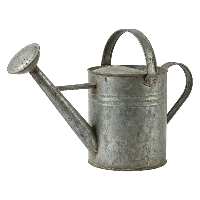 Galvanized Metal Watering Can