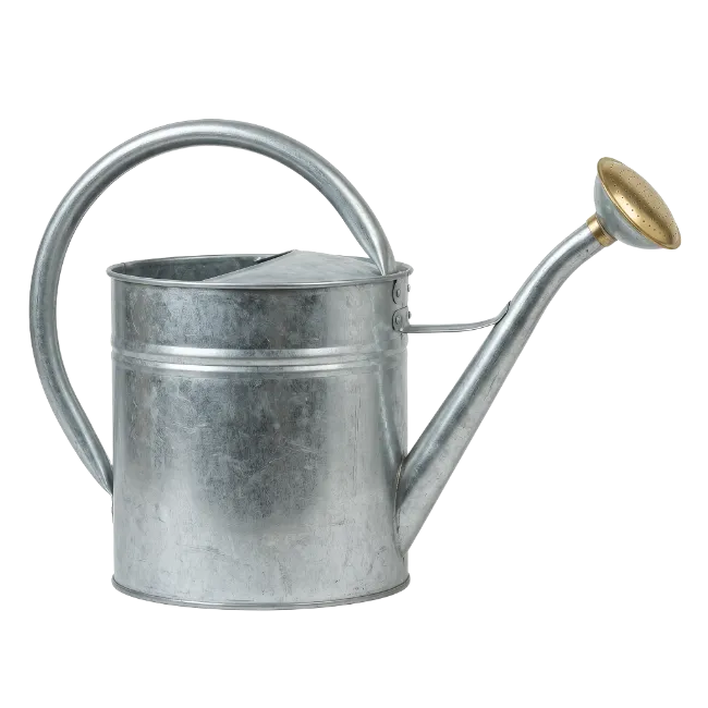 Galvanized Metal Watering Can