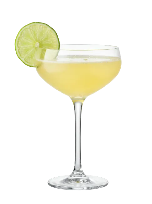 Gimlet Cocktail in Coupe Glass with Lime