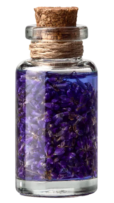 Glass Bottle Filled with Purple Lavender Flowers