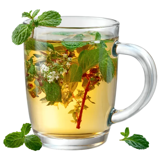 Glass Mug of Herbal Tea with Fresh Mint Leaves