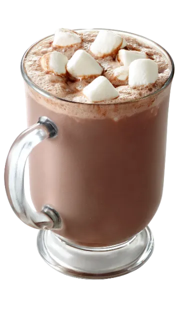 Glass Mug of Hot Chocolate with Marshmallows