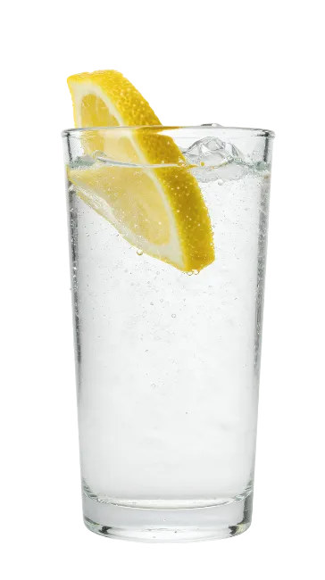 Glass of carbonated water with lemon slice