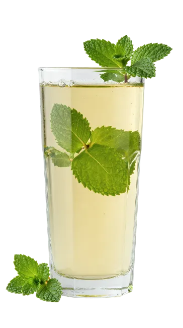 Glass of Refreshing Mint Tea